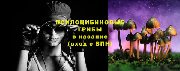 прущий лед Абаза