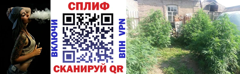 hydra онион  даркнет Telegram  Марихуана AK-47  Шиханы 